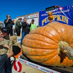 It’s Pumpkin Time! This weekend in Half Moon&nbsp;Bay