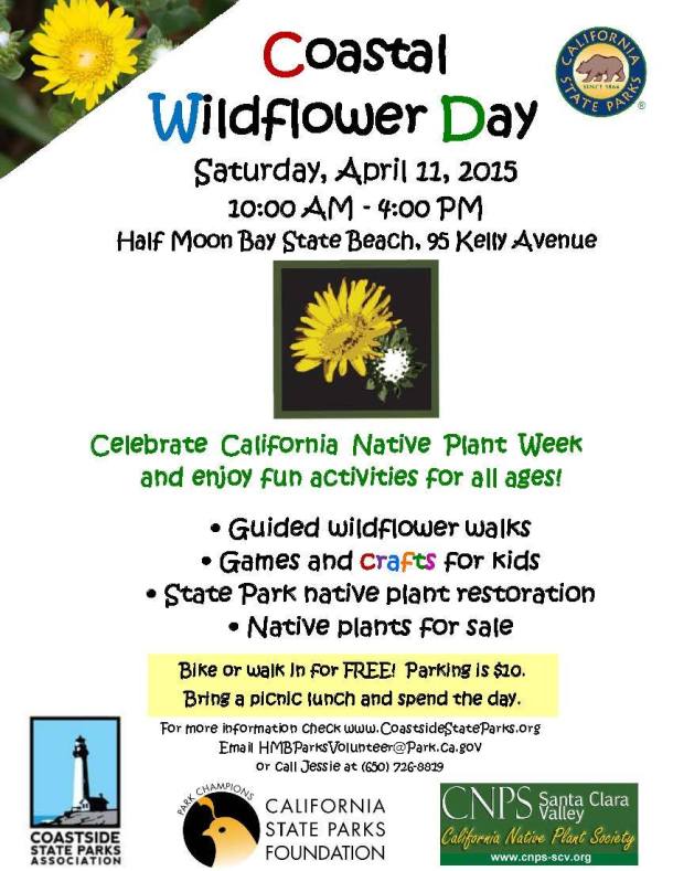 CoastalWildflowerPoster