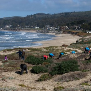 Calling all musicians &&nbsp;artists!